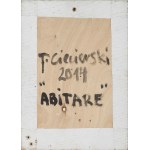 Tomasz Ciecierski, FROM THE ABITARE CYCLE, 2014