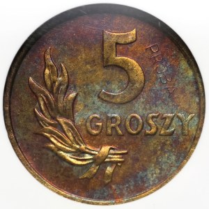 PRL, 5 groszy 1949, SAMPLE, brass