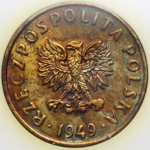 PRL, 5 groszy 1949, SAMPLE, brass