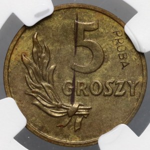 PRL, 5 groszy 1949, PRÓBA, laiton