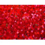 Joanna Mieszko, Tame the Poppies XVIII-365-768, 2023
