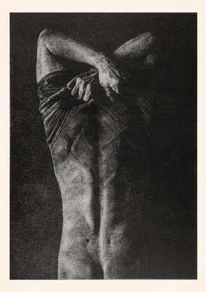 Agnieszka LECH-BIŃCZYCKA (ur. 1984), Epifania ciała VI, 2025