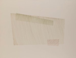 Anna Szprynger (ur. 1982), Bez tytułu, 2010