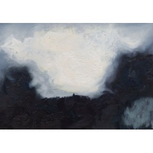 Daria Bilska, Ephemeral forest landscape, 2018