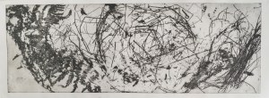 Magdalena Kasperczyk, what forest give us, 2017