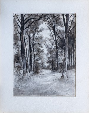 Stefan Filipkiewicz, Leśna droga, 1935