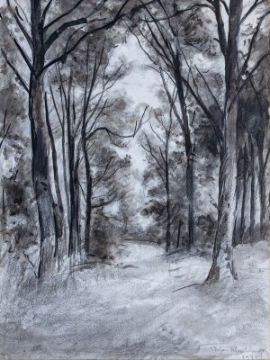 Stefan Filipkiewicz, Leśna droga, 1935
