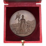 Schweiz - Vaud - Kupfermedaille 1891 - Morges, Tir cantonal vaudois - Switzerland, Swiss Shooting Medal