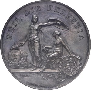 Schweiz - Thurgau - Silbermedaille 1890 - Frauenfeld, Eidgenössisches Schützenfest - NGC MS 63 - Switzerland, Swiss Shooting Medal