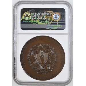 Schweiz - Glarus - Kupfermedaille 1892 - Eidgenössisches Schützenfest - NGC MS 64 BN - Switzerland, Swiss Shooting Medal