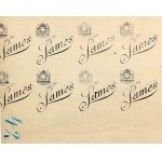 POZNAŃ. Map of the eastern Poznań district; lit. and printed. P. Baron, ca. 1910; unsigned; lith. p...