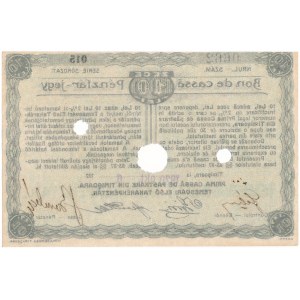 Hungary / Romania - Temesvár (Timișoara) - 10 Lei, 1920
