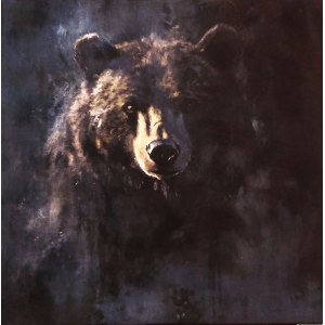 Jan Wysocki, L'Ours