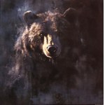 Jan Wysocki,The Bear