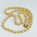 Gold Akoya pearl necklace