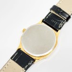 Pánské hodinky Rotary 17 Jewels 31 mm
