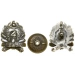 Poland, 4th Field Artillery Regiment - soldier commemorative badge (COPY)