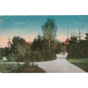 JASŁO. Jasło. Ogród miejski. -Stadtgarten, wyd. ok. 1910; kolor., stan db