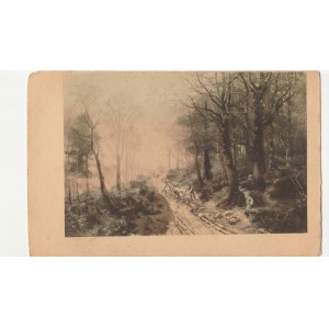 EUROPA. Górska droga, wyd. przed 1918; kolor., stan db, drobne zabrudzenia