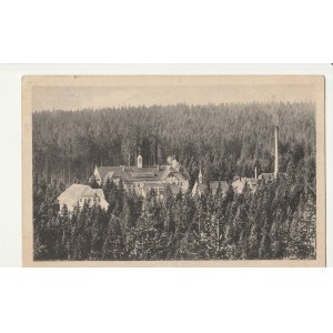 AUERBACH/VOGTL. Zabudowania w lesie, wyd. ok. 1916; cz.-b., stan db, z obiegiem
