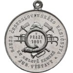 Praha - medaile Zemské jubilejní výstavy 1891, Sjezd českoslovanského hasičstva 1891 - Průmyslový
