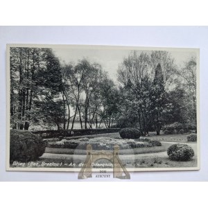 Brzeg, Brieg, park pri Odre, asi 1940