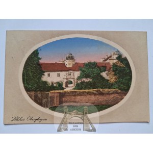 Glogowek, Oberglogau, castle, 1911