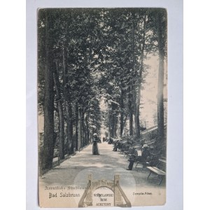 Szczawno Zdroj, Bad Salzbrunn, avenue, ca. 1900