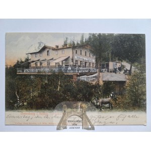 Boguszów Gorce, Gottesberg, Friedenshohe, 1905