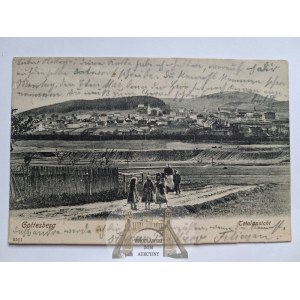 Boguszów Gorce, Gottesberg, interesting panorama, ca. 1902