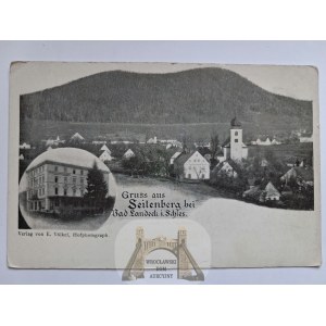 Stronie Slaskie, Seitenberg, panorama, ca. 1900.