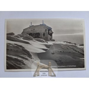 Snowbird, Schneeberg, winter, Marx edition, circa 1930.