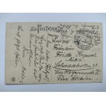 Poznań, Biedrusko, pomnik 1916