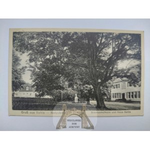 Biala near Trzcianka, palace, park 1930