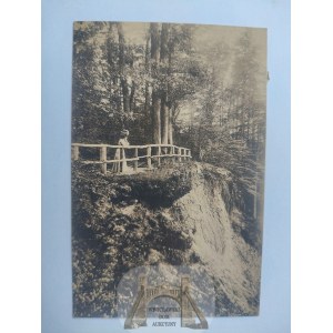Elblag, Elbing, Vogelsang, Nymphenberg, Sichtweise 1918