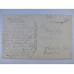 Białowieża, Puszcza Białowieska, panorama ok. 1935