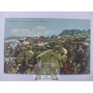 Przemyśl, część plantacji zamkowych 1911