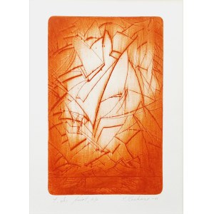 Yaroslav Kachmar (nato nel 1955), Disturbance, 2005