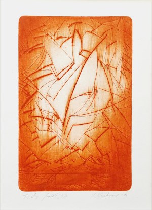 Yaroslav Kachmar (ur. 1955), Disturbance, 2005