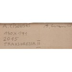 Andrzej Cisowski (1962 Bialystok - 2020 Targowo), Transgression II, 2015