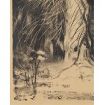 Leon Wyczółkowski (1852 Huta Miastkowska - 1936 Warsaw), Dry Spruce, 1930s.