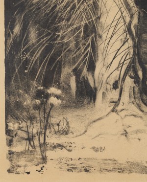 Leon Wyczółkowski (1852 Huta Miastkowska - 1936 Warszawa), Suchy świerk, lata 30. XX w.