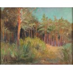 Wawrzyniec Chorembalski (1888 Zawichost - 1965 Warsaw), Forest Landscape, 1927