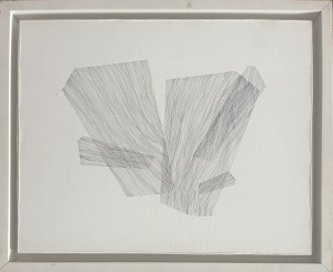 Anna Szprynger ( 1982 ), b/t, 2011