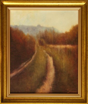 Konrad Hamada, Polna droga, 2011