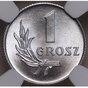 People's Republic of Poland, 1 grosz 1949, NGC MS 68 MAX TOP POP