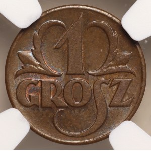 Zweite Polnische Republik, 1 Groschen 1923, NGC 65 BN