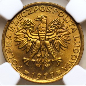 Volksrepublik Polen, 2 Złoty 1977, NGC MS 67