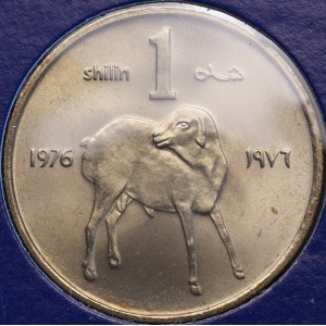 Somalia, 1 Shilling 1976, FAO, Grade 1