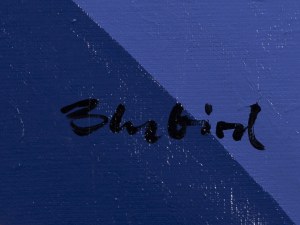 Marcin Gregorczuk \ Blubird (ur. 1977, Siedlce), 